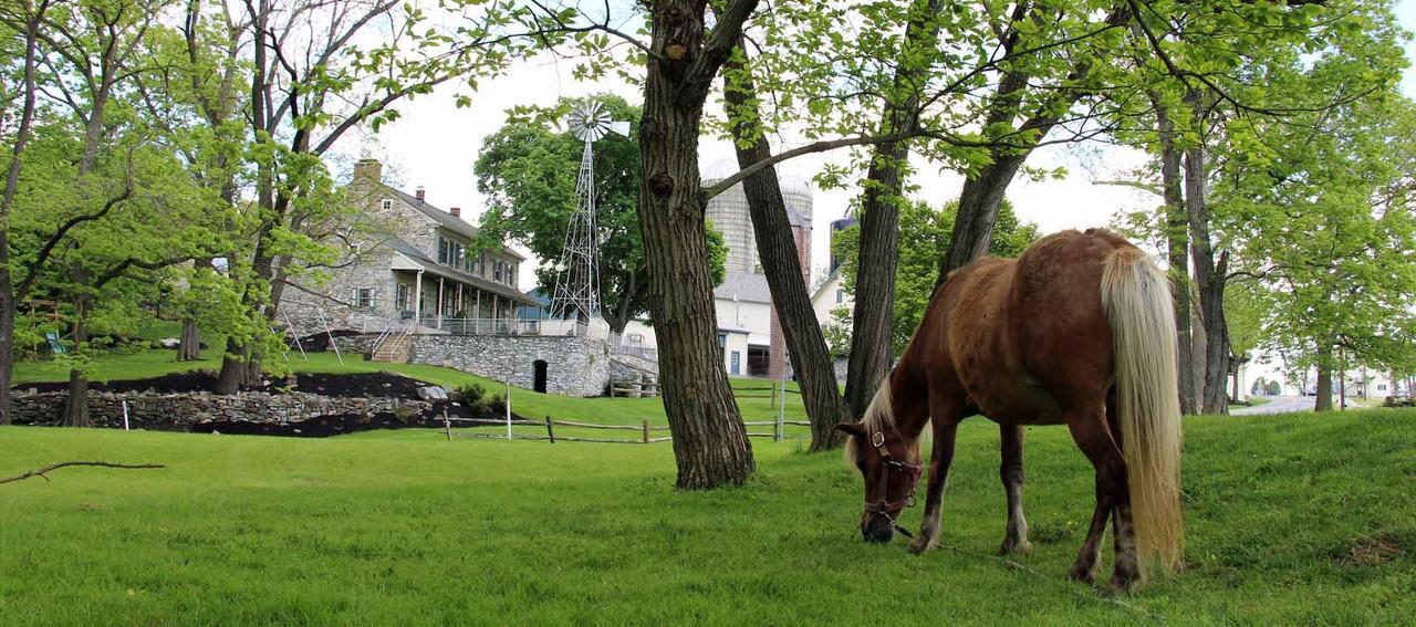 Rocky Acre Farm Bed & Breakfast Mount Joy Luaran gambar